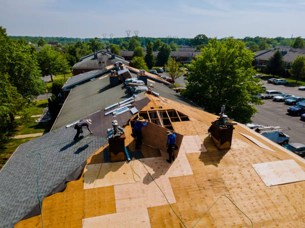 Trusted Roof Replacement service in Lake Forest, CA - Brentwood Metal Roofing
